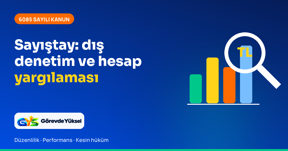Sayıştay denetimini simgeleyen sütun grafik ve büyüteç çizimi